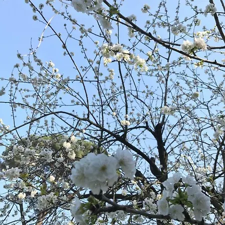 Frühstückspension Du Parc Boutique Castellammare di Stabia